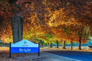 Autumn leaves and the Bright town sign